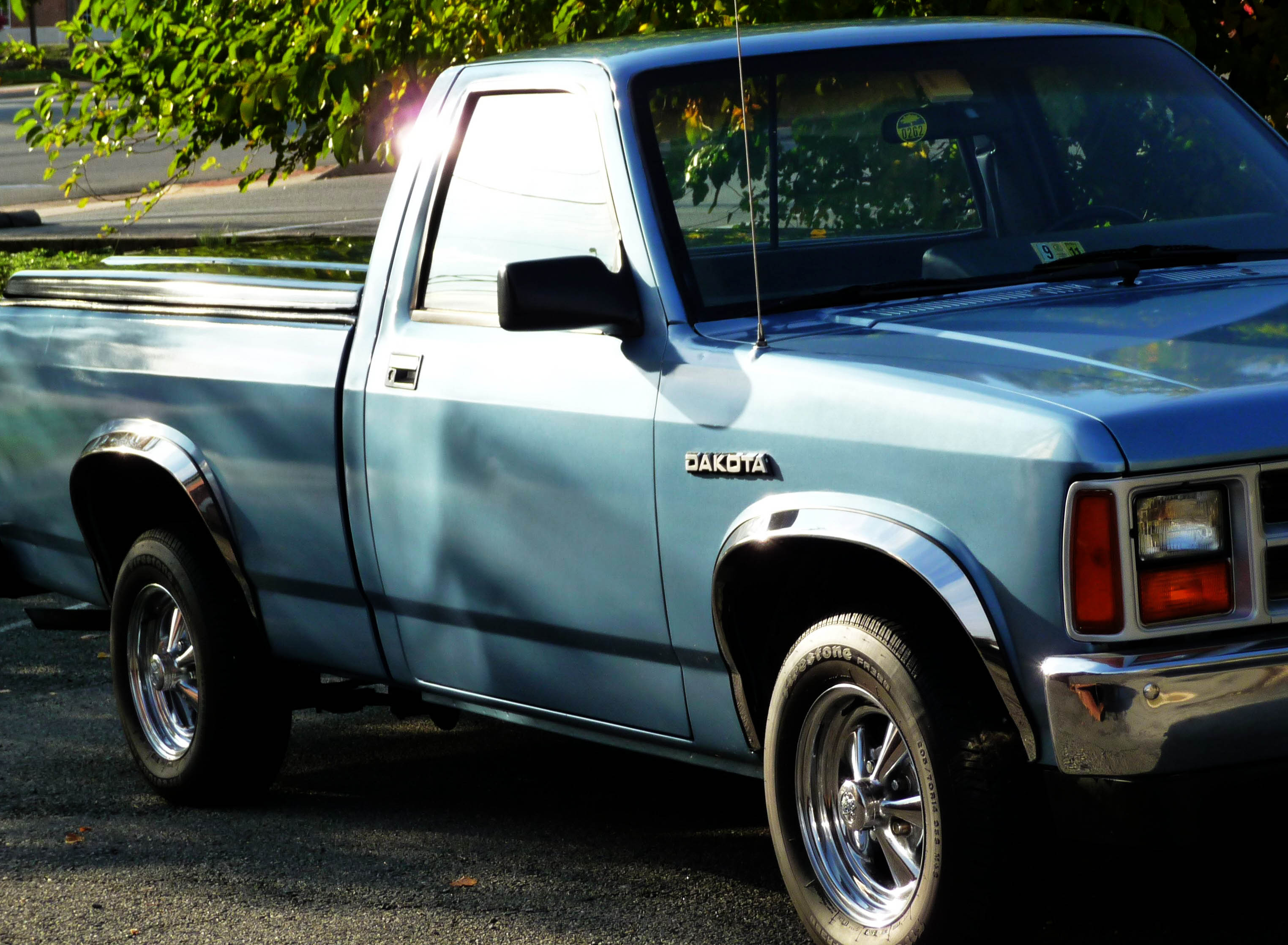 87-96 Dodge Dakota  Fender trim