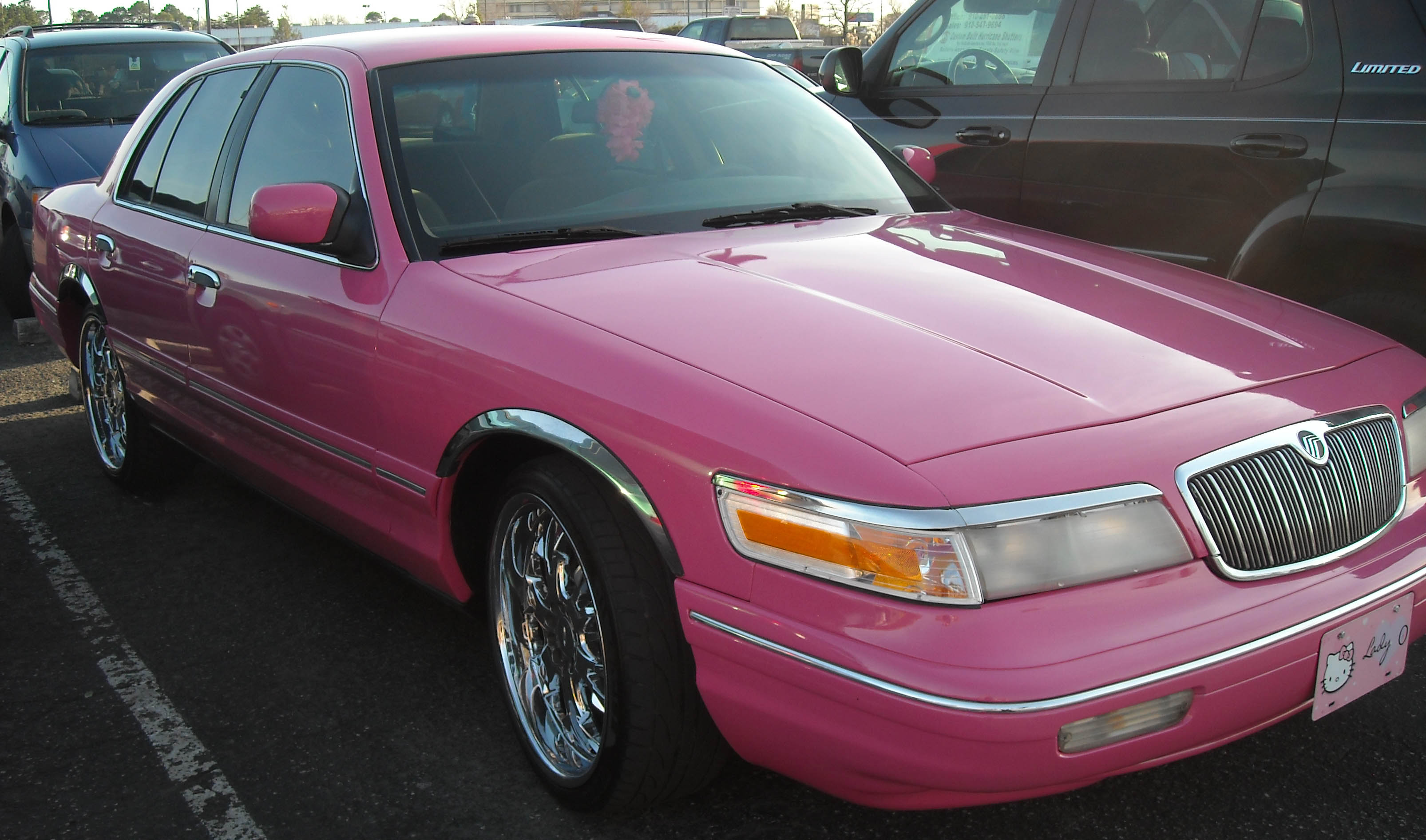 95-97 Mercury Grand Marquis  Fender trim